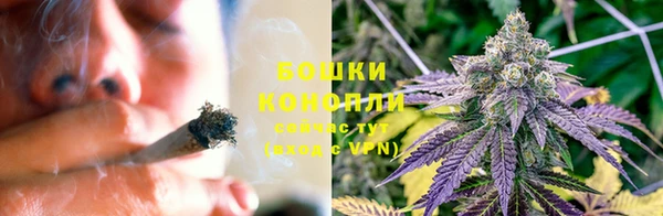 прущие крисы Костерёво