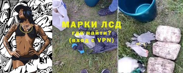 мяу мяу мука Корсаков