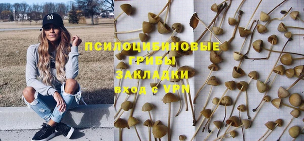 герыч Козловка