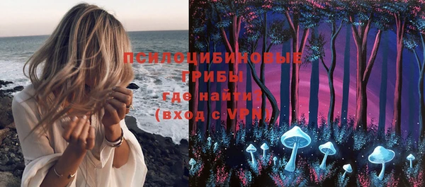 метадон Коряжма
