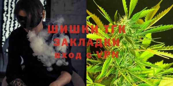 гидропоника Кодинск