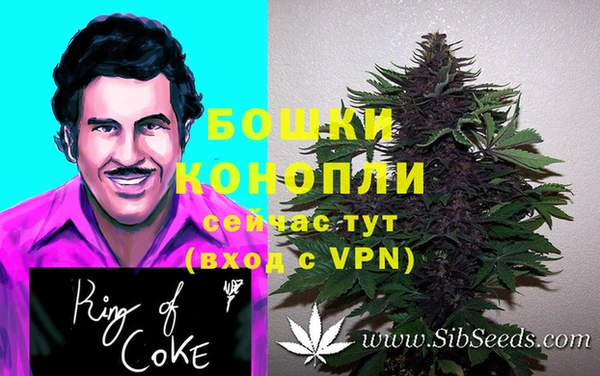 прущие крисы Костерёво