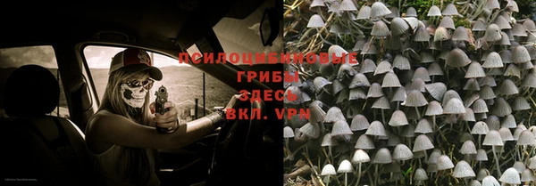 мяу мяу мука Корсаков